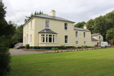 Oisín Butler Painting