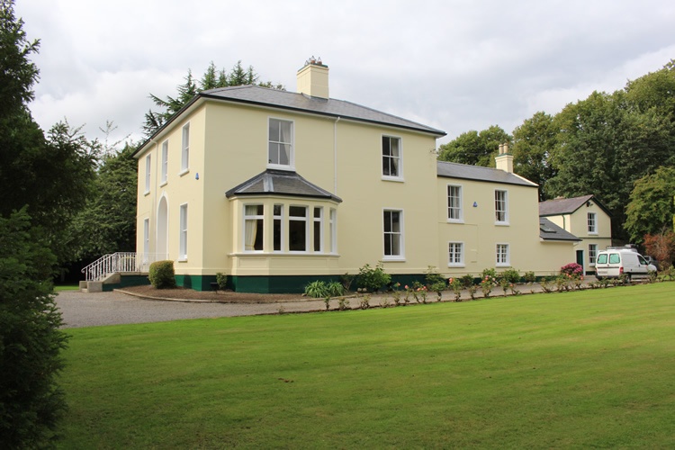 Oisín Butler Painting